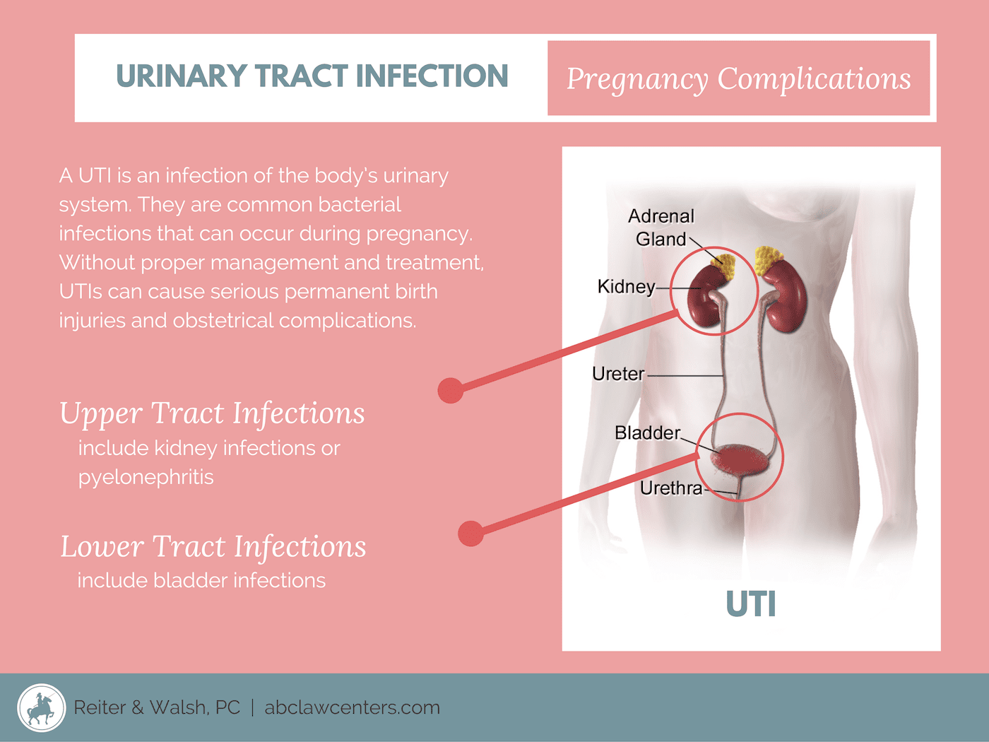 UTI and Pregnancy: Fertility, Gestation, and Postpartum