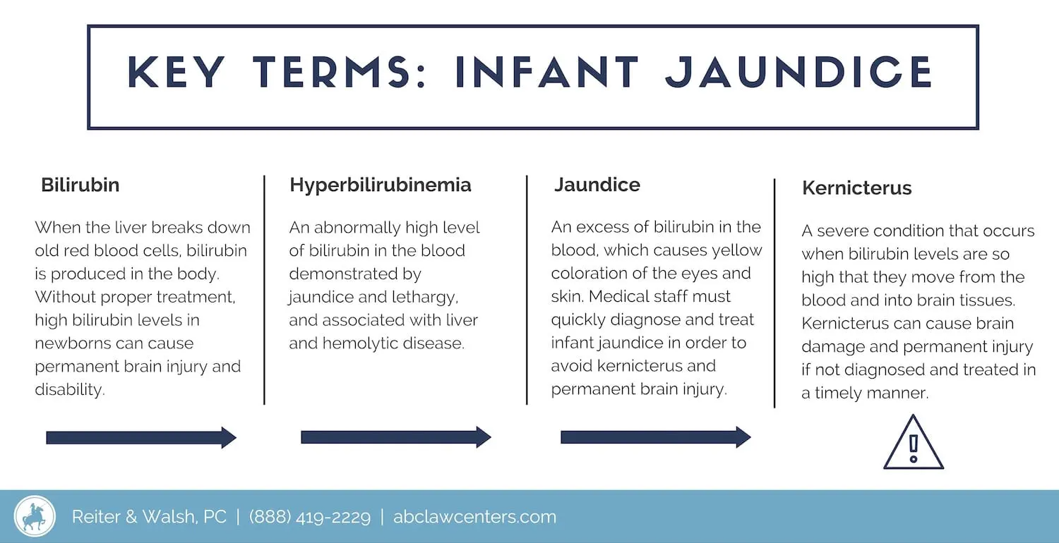 The liver breaks down old red blood cells, creating bilirubin. Hyperbilirubinemia, jaundice, and kernicterus are all characterized by abnormal levels of bilirubin. 