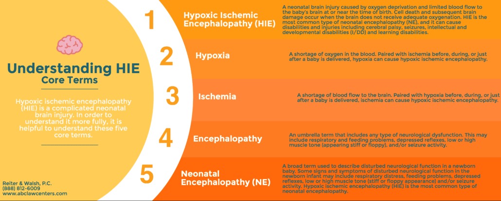 Understanding HIE - Hypoxic Ischemic Encephalopathy Core Terms - Infographic